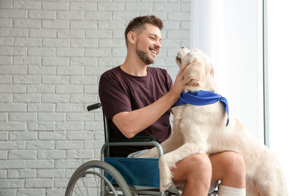 Man in wheelchair petting service dog who is leaning on his lap